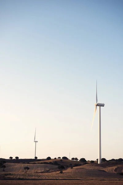 Zwei Windräder Erzeugen Einem Windpark Der Abenddämmerung Saubere Energie Sie — Stockfoto