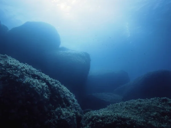 Fondo de un fondo marino rocoso en el mar azul turquesa — Foto de Stock