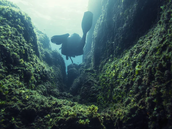 Человек, ныряющий между стенами подводного каньона — стоковое фото