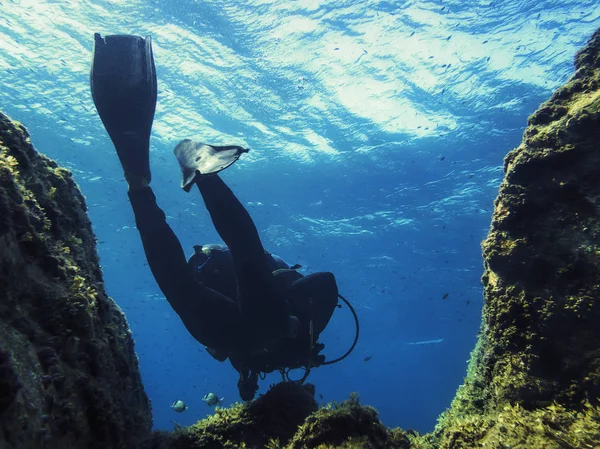 Homem mergulhando pelo mar azul perto do fundo do mar — Fotografia de Stock