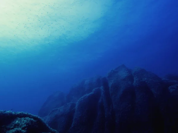 Fundo subaquático com um fundo do mar rochoso — Fotografia de Stock