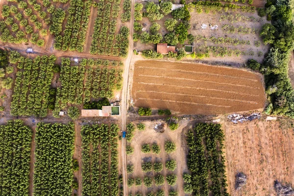 Övre vy över olika beskärnings fält för en gård — Stockfoto