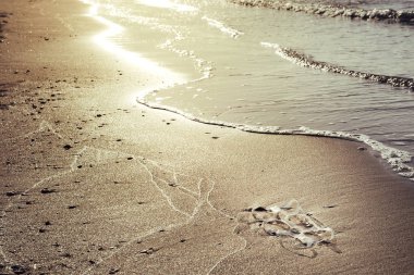 Plaj kum kirleten plastik halkalar