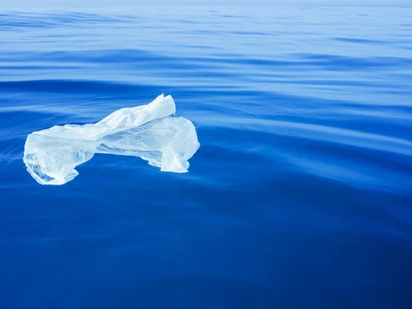 plastic bag floating on the surface of the water