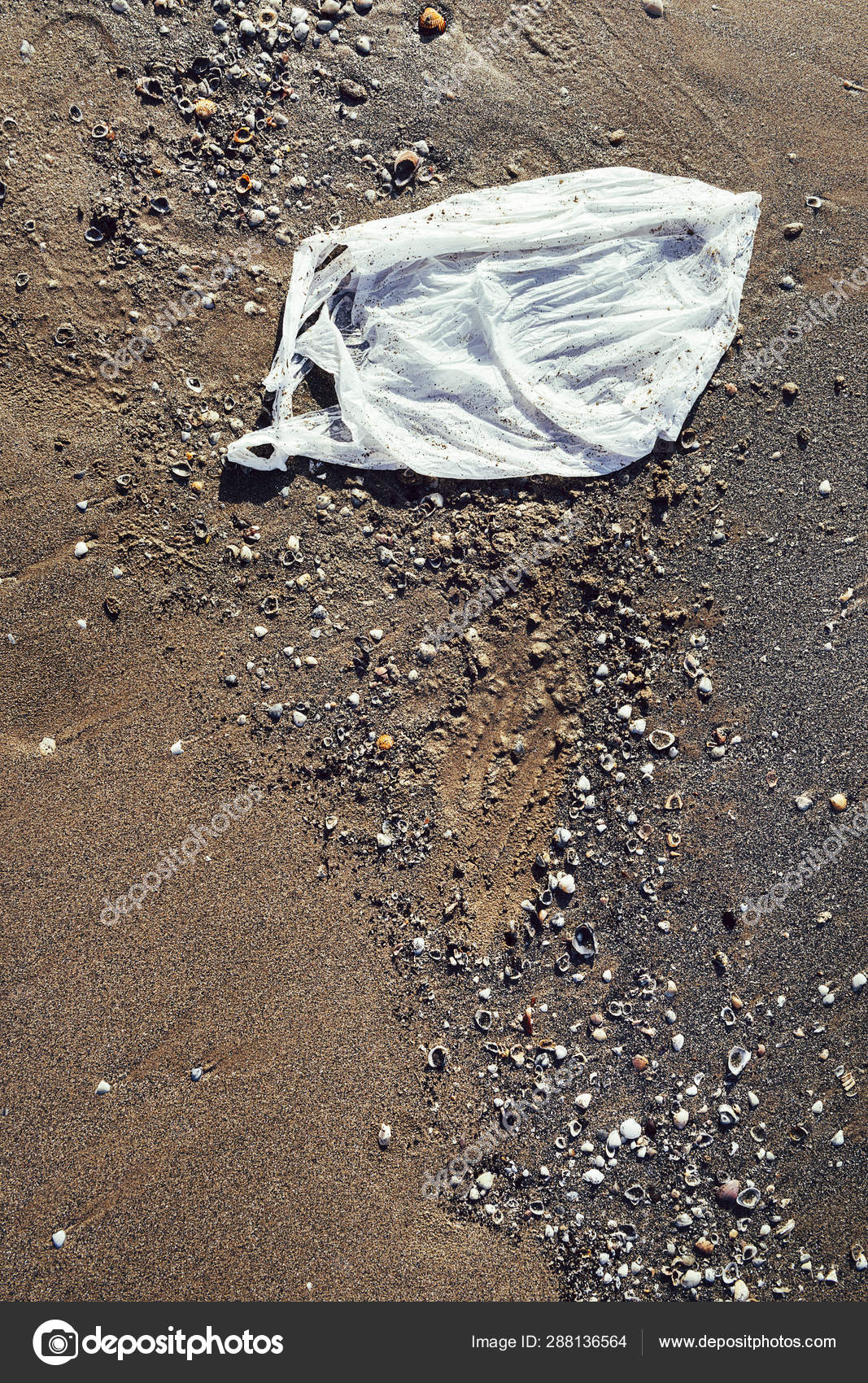 plastic bag beach