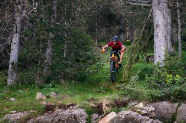 Ormanda yokuş aşağı bisiklet süren bir adam. Spor anlayışı ve sağlıklı yaşam tarzı.