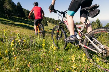 Çiçeklerle dolu bir çayırda bisiklete binen iki adamın arka plan görüntüsü, dostluk kavramı ve doğadaki sağlıklı yaşam tarzı.