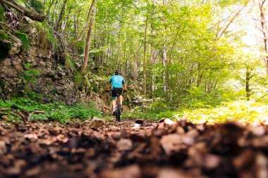 Tanımlanamayan bir motorcunun orman yolunda bisiklet sürüşünün, spor kavramının ve doğadaki sağlıklı yaşam tarzının arka görüntüsü.