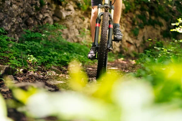 front view of the wheels of a mountain bike riding fast on a forest path, concept of sport and healthy lifestyle in nature, copy space for text