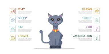 Kedi yaşam tarzı Infographic