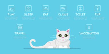 Kedi yaşam tarzı Infographic