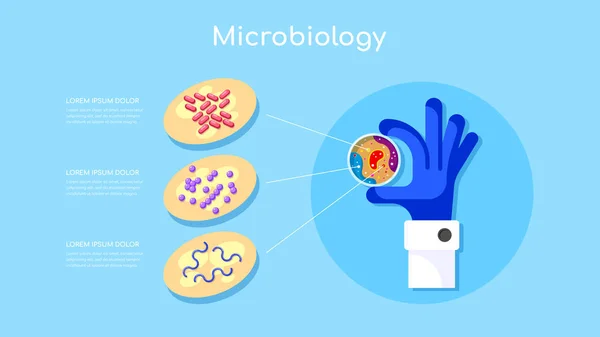 Mikrobiyolojik araştırma kavramı — Stok Vektör