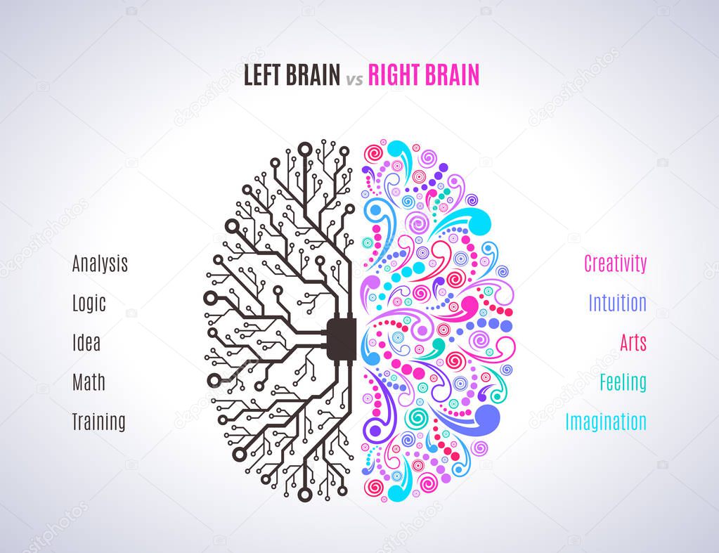 left and right brain concept