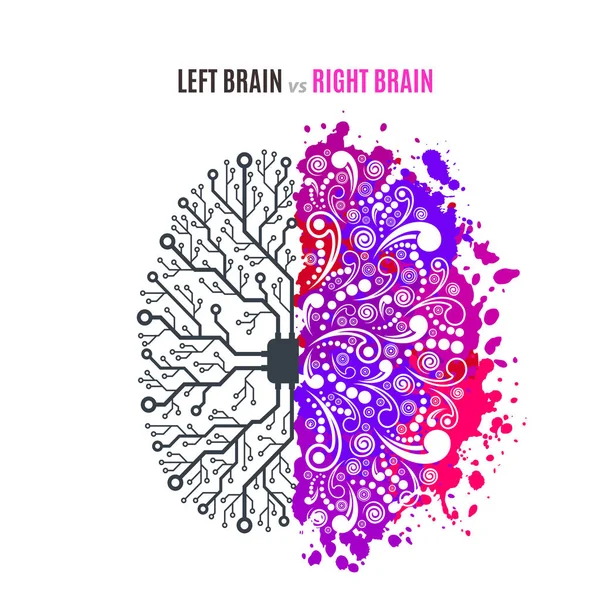왼쪽 및 오른쪽 두뇌 개념 — 스톡 벡터