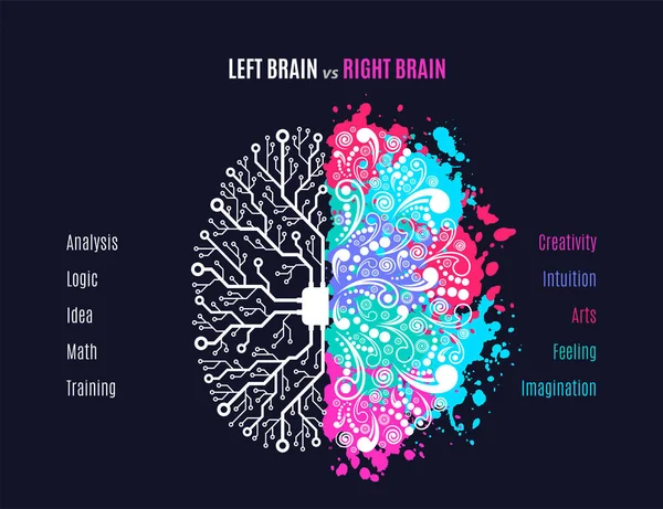 Left and right brain concept — Stock Vector