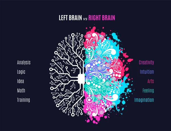 Concepto cerebral izquierdo y derecho — Vector de stock