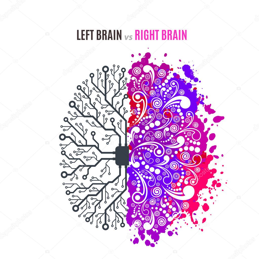 left and right brain concept