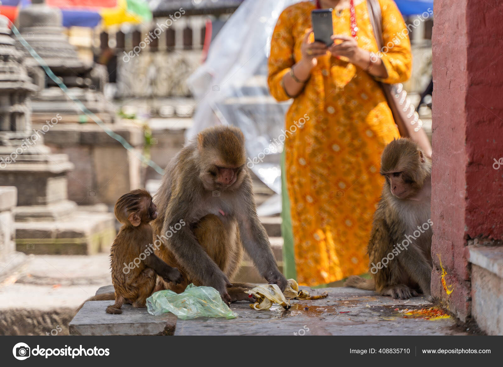 Mujer Nepalí Haciendo Una Foto Monos Templo Swayambhunath Templo