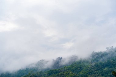 Nepal 'de ormanlı tepeler, sisle kaplı. Tropikal yağmur ormanlarıyla kaplı bir manzara. CG çizimi, mat resmi için referans resmi. Stok fotoğrafı.