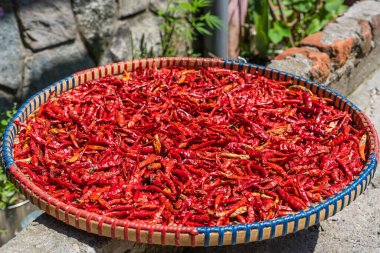 Harman sepetinde güneşte kurutulan kırmızı biberler. Stok fotoğrafı.