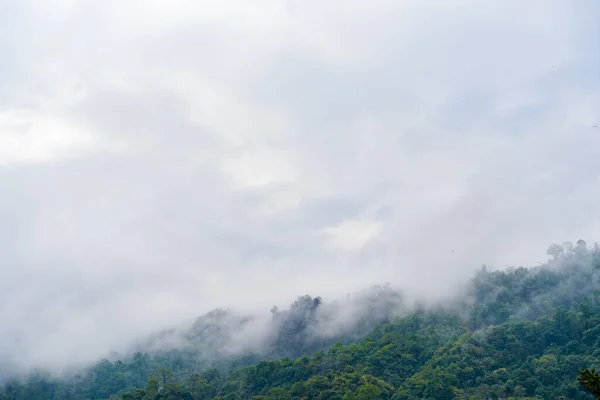 Colinas Con Selva Nepal Cubiertas Niebla Paisaje Con Selva Tropical —  Fotos de Stock