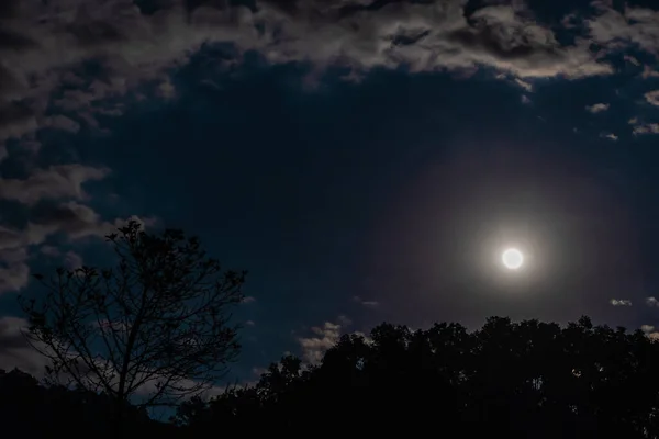 月亮依偎在布满丛林的山上 夜间射击 库存照片 — 图库照片