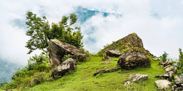 Himalayalar 'ın sisle kaplı dağlarının resmi. Bulutların arkasında orman olan yeşil tepeler. Nepal 'de yürüyüş, yürüyüş..