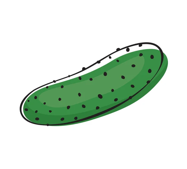 Food Vector Illustration Vegetarian Vegetable Healthy Cucumber Organic Diet Fresh — стоковый вектор