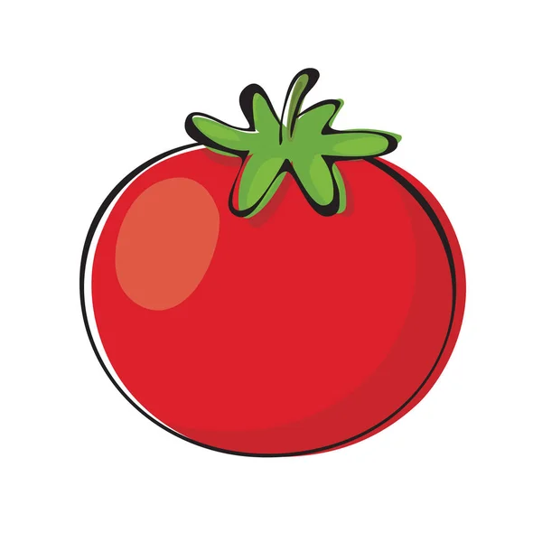 Tomate Legumes Isolados Ilustração Vetorial — Vetor de Stock