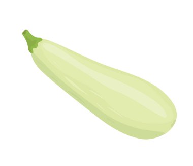 Kabak izole üzerinde beyaz arka plan çizgi film