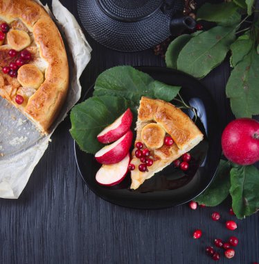 Elmalı turta ile kızılcık koyu ahşap arka plan üzerinde