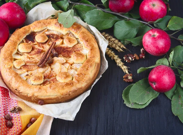 Torta Bolo Maçã Caseira Com Maçãs Frescas Com Folhas Fundo — Fotografia de Stock