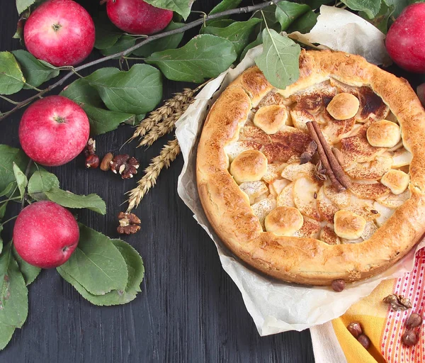 Torta Bolo Maçã Caseira Com Maçãs Frescas Com Folhas Fundo — Fotografia de Stock