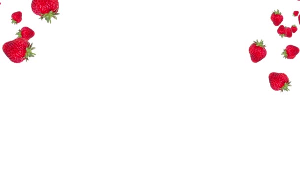 Абстрактна Барвиста Анімація Фон Полуничного Кольору Полуниця Падає Білому Тлі — стокове відео