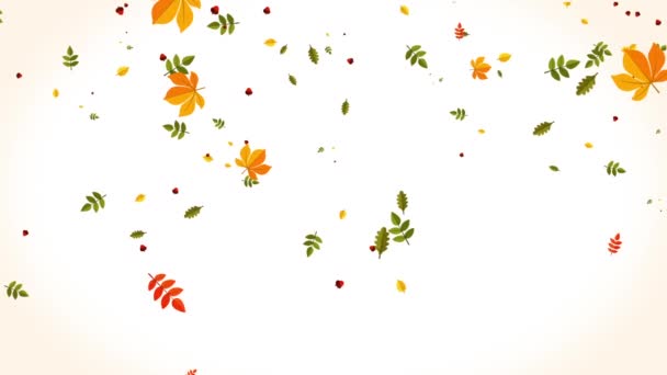 明亮的秋天背景与落叶 — 图库视频影像