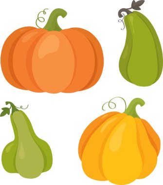 Cadılar Bayramı ya da Şükran Günü için balkabağı, düz vektör. Beyaz arka planda izole edilmiş turuncu kabak şekilleri ve boyutları farklı. Vektör illüstrasyonu