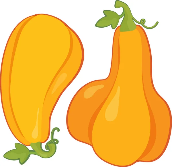 Citrouille Pour Halloween Thanksgiving Vecteur Plat Différentes Formes Tailles Gourdes — Image vectorielle