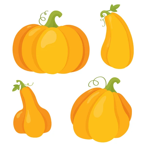 Pumpkin Halloween Thanksgiving Flat Vector Different Shapes Sizes Orange Gourd — Stock Vector