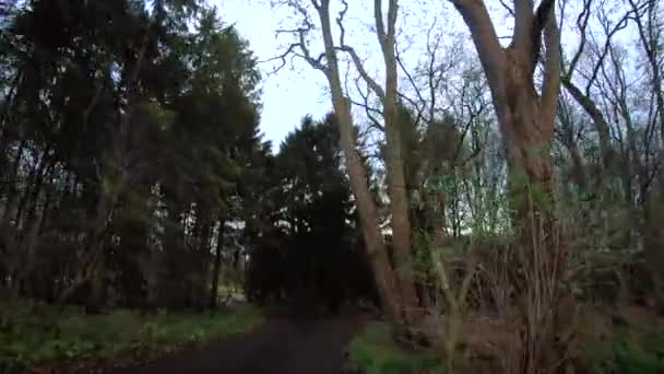 Amsterdam Osdorpplein Kleiner Fluss — Stockvideo