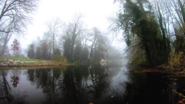 美丽的鸟图 河流之间的绿树2018年12月 — 图库视频影像