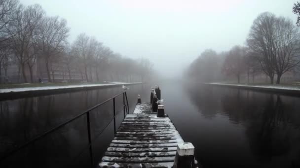 雪に覆われた木造の桟橋の上を歩く — ストック動画