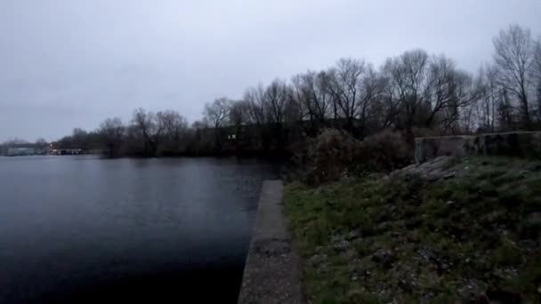 Schöner Waldspaziergang Den Winter — Stockvideo