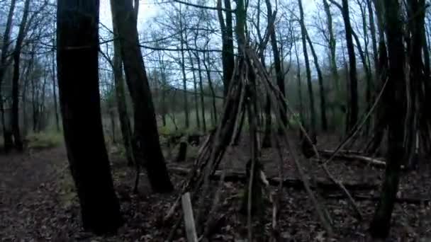 冬に歩いて美しい森 — ストック動画