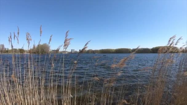 Медленное движение с видом на озеро 240 кадров в секунду — стоковое видео