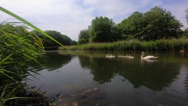 Tolle Aussicht Fluss Und Kanal — Stockvideo