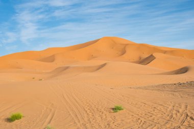 Güneşli bir günde Sahra 'da Erg Chebbi' nin kum tepeleri