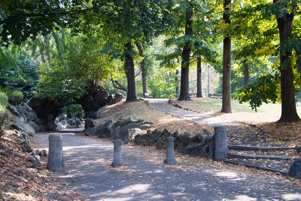 가을에 토리노의 공원에 나무들 — 스톡 사진