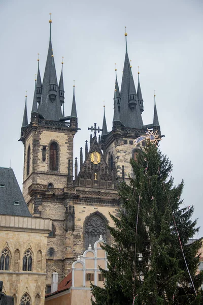 Prag Meydanı Nda Arka Planda Katedral Olan Bir Noel Ağacı — Stok fotoğraf