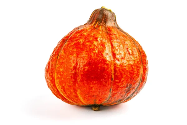 Calabaza aislada sobre fondo blanco —  Fotos de Stock