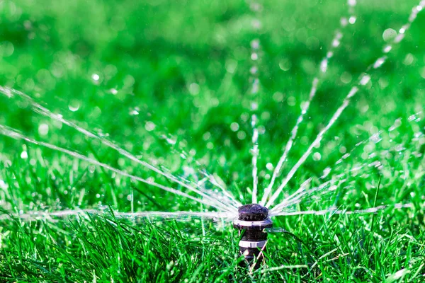 Irrigatore Automatico Irrigazione Irrigazione Del Prato Verde Foto Alta Qualità — Foto Stock